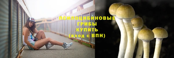 скорость Алзамай
