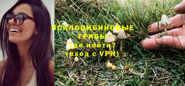 гидра Алексин
