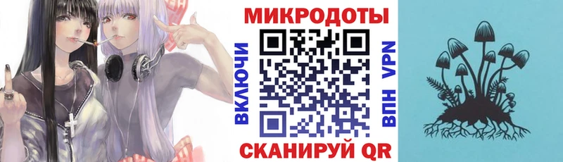 Купить где  Красногорск  Псилоцибиновые грибы GOLDEN TEACHER 